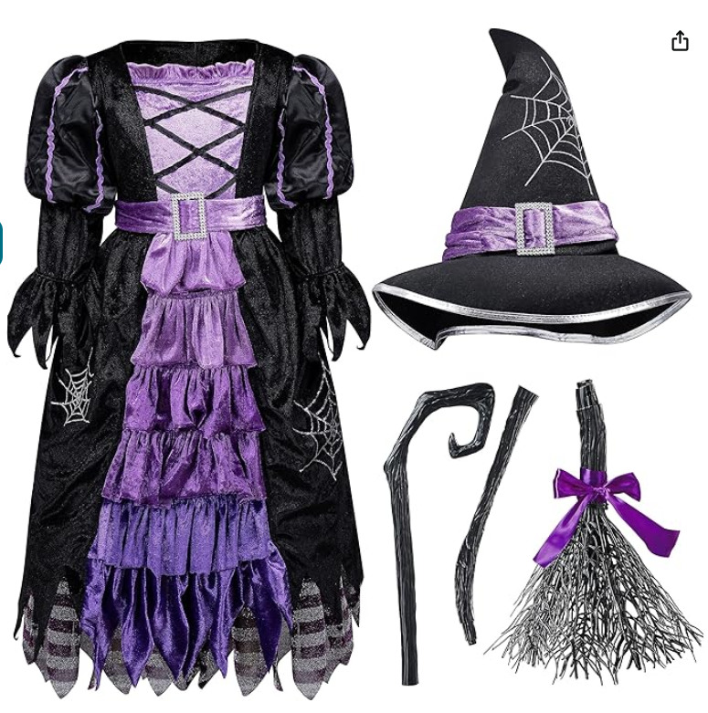 Spooktacular Girl's Purple Witch Halloween Costume - Size 3T