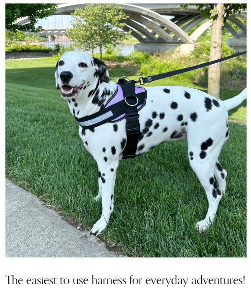 Purple / Lilac Dog Harness - Size Medium